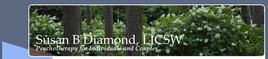 Susan B Diamond, LICSW