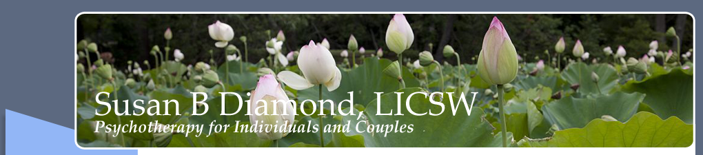 Susan B Diamond, LICSW